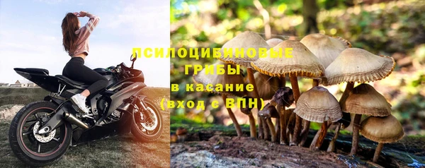 мескалин Аркадак