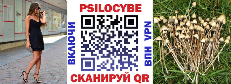 Галлюциногенные грибы MAGIC MUSHROOMS  mega как зайти  Усолье-Сибирское  как найти закладки 